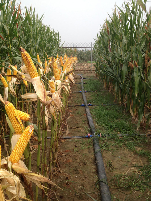 照片10。21 234.jpg