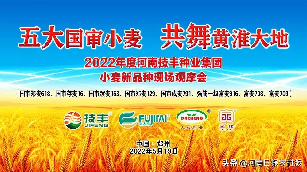 “云”上打卡 线上观摩超80万人次 2022年度河南技丰种业集团小麦新品种线上观摩会轰动黄淮麦区