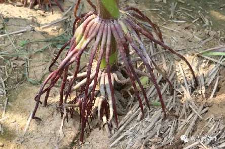 1597200403663009418.jpg 1597200403663009418.jpg