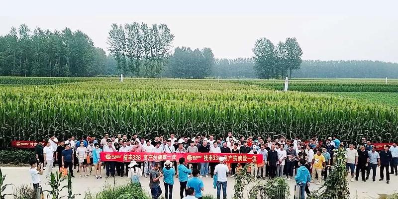 1597198749710001085.jpg 1597198749710001085.jpg