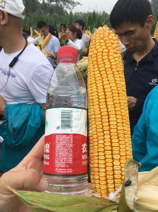 1597200593007089874.jpg 1597200593007089874.jpg